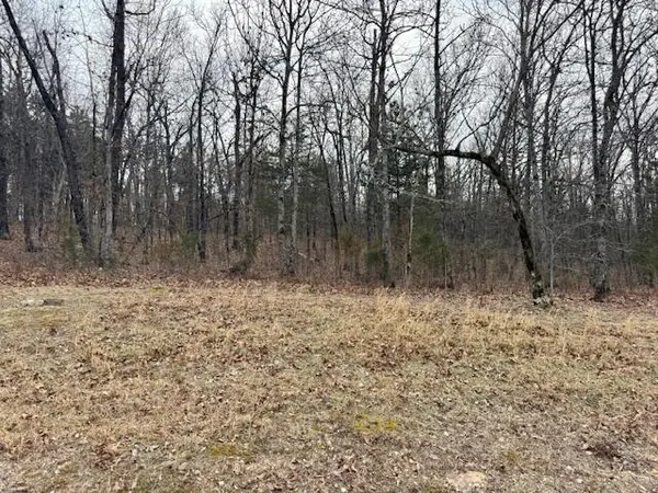 Lot 81 Green Cypress LN, Shell Knob, MO 65747