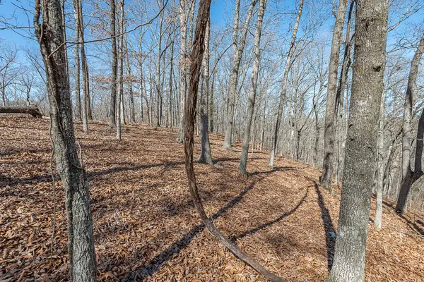 000 Nottingham CT, Saddlebrooke, MO 65630