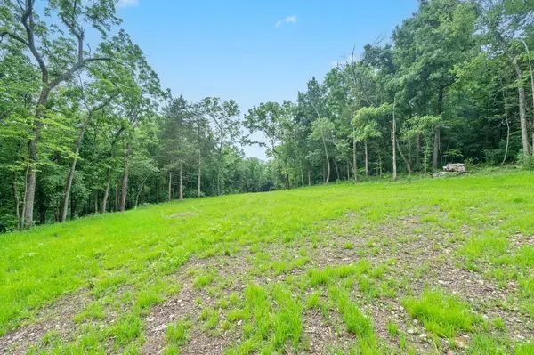 000 W Old Limey RD, Brookline, MO 65619