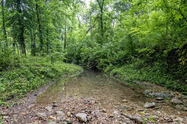000 W Old Limey RD, Brookline, MO 65619