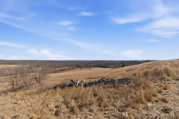 000 State Highway D Tract 1, Thornfield, MO 65762
