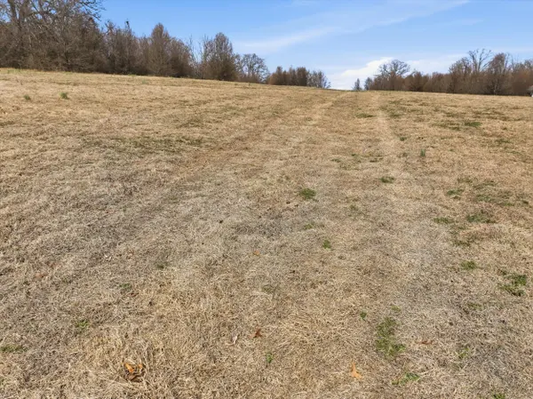 000 County Road 60-489, Birch Tree, MO 65438