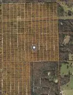 1306 Gooseberry LN, Horseshoe Bend, AR 72512