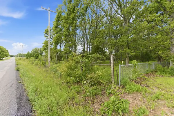 000 Chicory RD #Tract 5, Rogersville, MO 65742