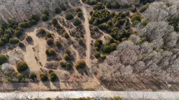 000 Abadyl RD, Fordland, MO 65652