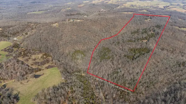 000 Abadyl RD, Fordland, MO 65652