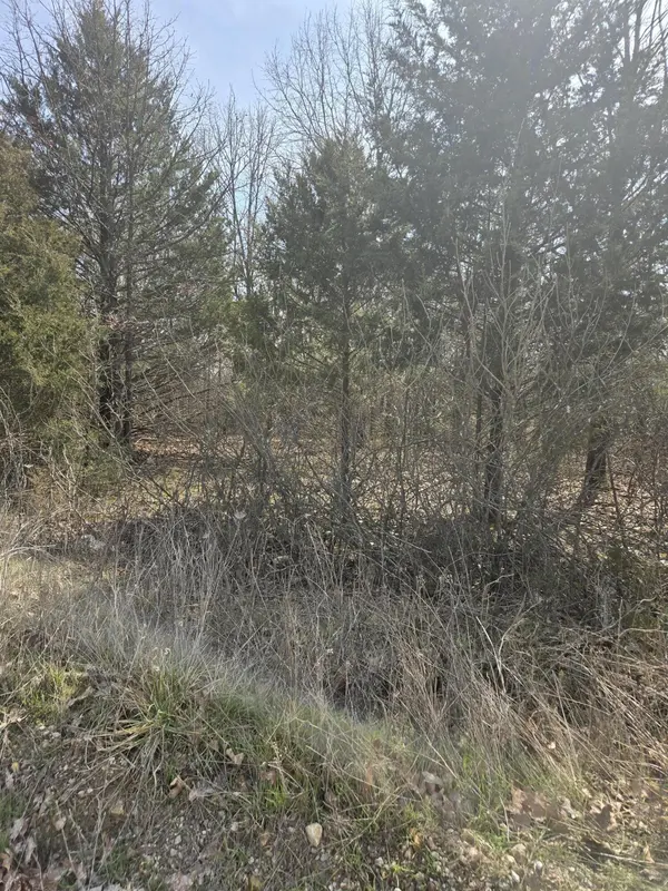 000 Farm Road 2085, Aurora, MO 65605