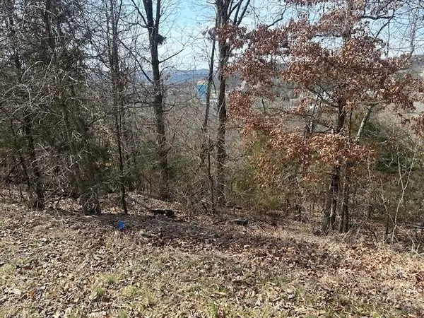 32 Canyon Pkwy, Branson, MO 65616
