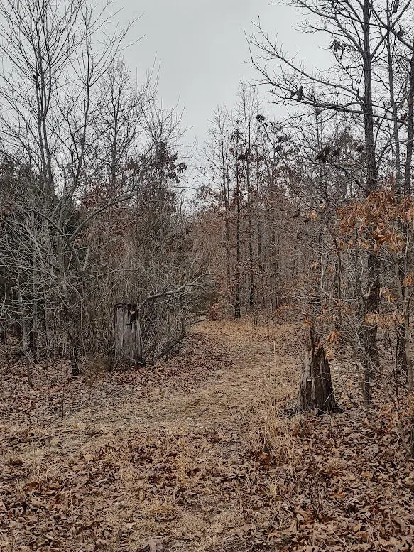 New$..8850 Highway Dd, Niangua, MO 65713