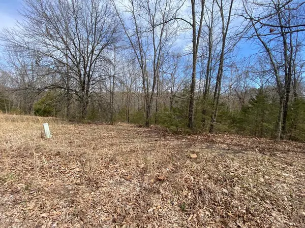 000 Westgate Lane, Branson West, MO 65737