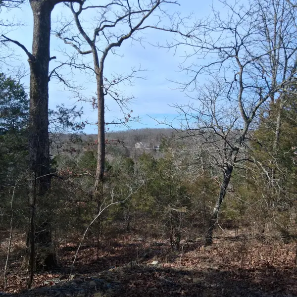 Lots 302 & 303 Greers Ferry RD, Branson, MO 65616