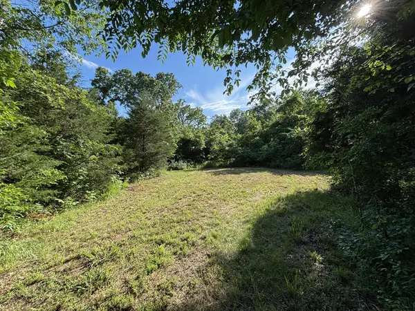 000 Private Drive County Road 803b, Gainesville, MO 65655