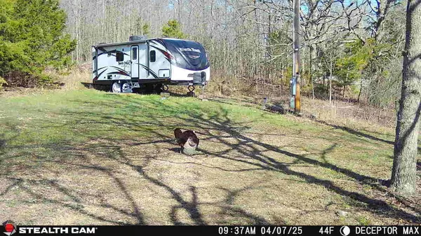 4991 Hwy Hh, Hartville, MO 65667