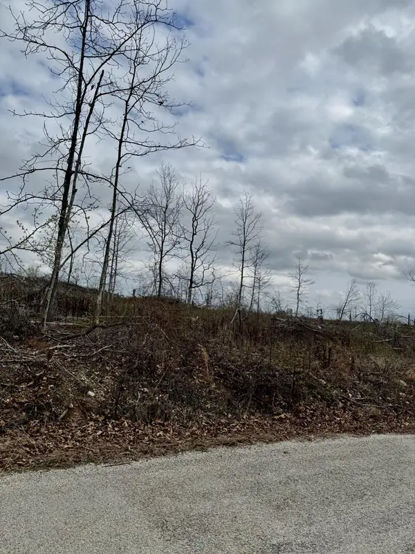 1365 County Road 3500, Mountain View, MO 65548