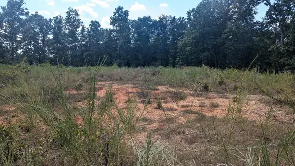 Tbd County Road 426, Ellington, MO 63638