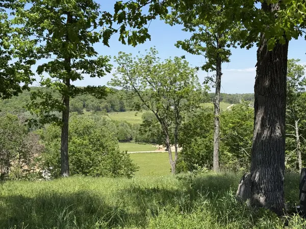Lot 14a Riverpointe View, Ozark, MO 65721