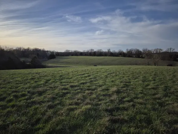 000 S Farm Road 11, Ash Grove, MO 65604