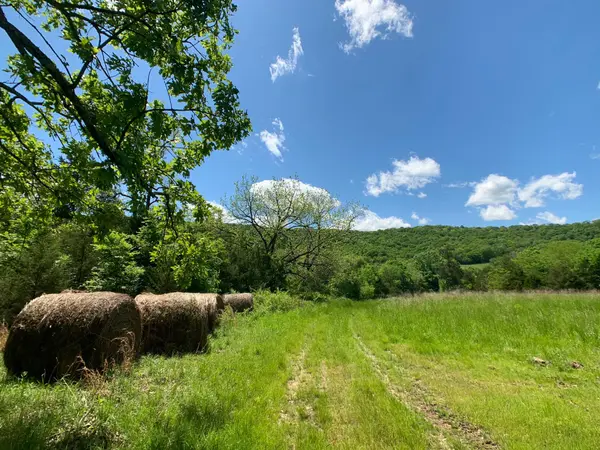000 Farm Road 1280, Shell Knob, MO 65747