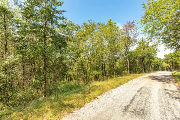 Lot 1 Savage RD, Kirbyville, MO 65679