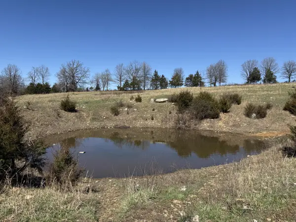 000 Barnum Drive Tract H, Cabool, MO 65689