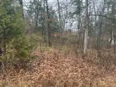 000 (Tbd) Mockingbird RD #Lots 3 & 4, Merriam Woods, MO 65740