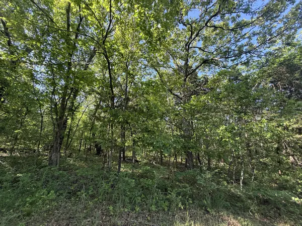 Tbd County Road 203, Wheatland, MO 65779