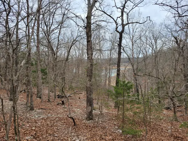 000 Lost Mine RD, Theodosia, MO 65761