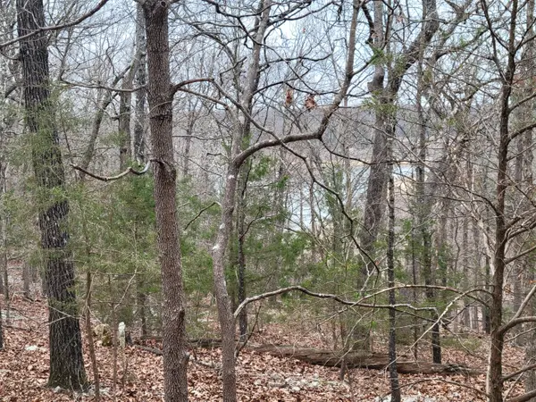 000 Lost Mine RD, Theodosia, MO 65761