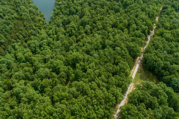 000 Shore Cove #Lot # 6, Protem, MO 65733
