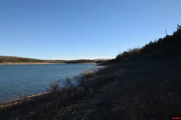 000 Lakeshore RD #Lot # 44, Protem, MO 65733