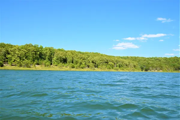 000 Lakeshore RD #Lot # 44, Protem, MO 65733