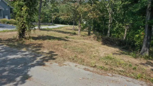 000 Black Oak Resort LN, Lampe, MO 65681