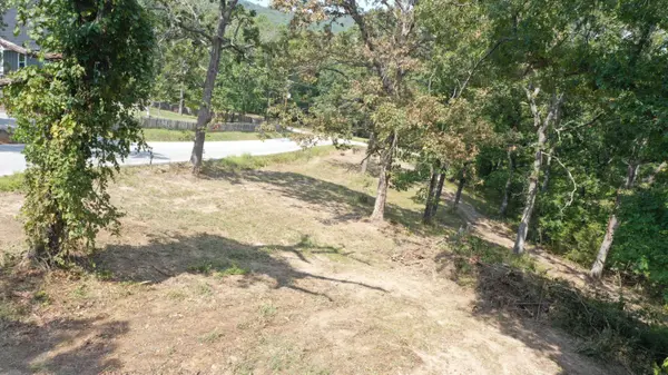 000 Black Oak Resort LN, Lampe, MO 65681