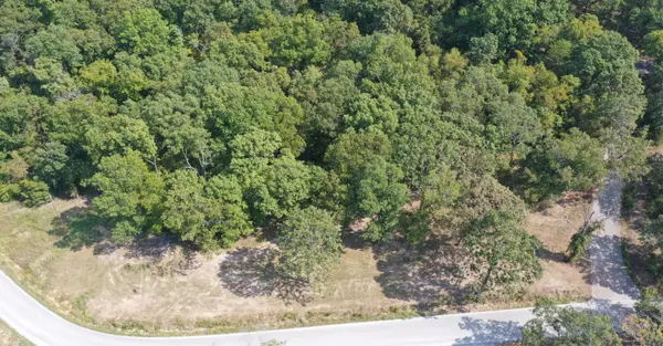 000 Black Oak Resort LN, Lampe, MO 65681