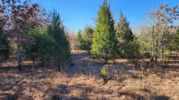 Tbd Highway 63, Thayer, MO 65791