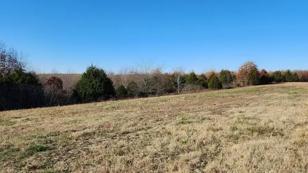 Tbd Highway 63, Thayer, MO 65791