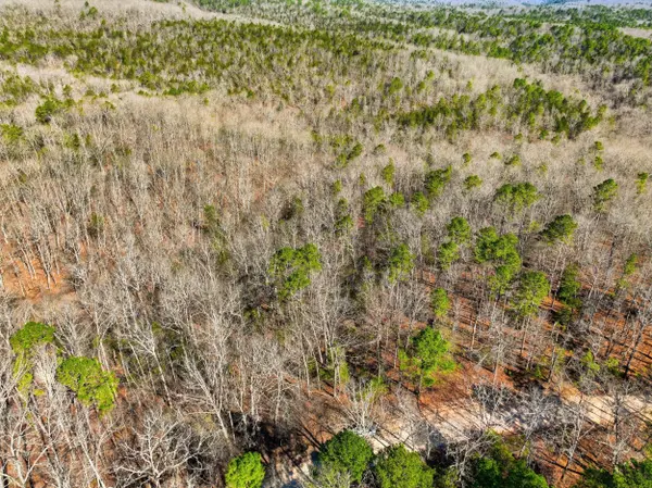 000 County Road 158, Gainesville, MO 65655