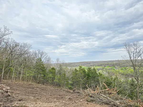 00 Easy Street, Pittsburg, MO 65724