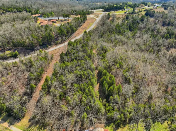 Lot 3 Hwy Mm, Gainesville, MO 65655