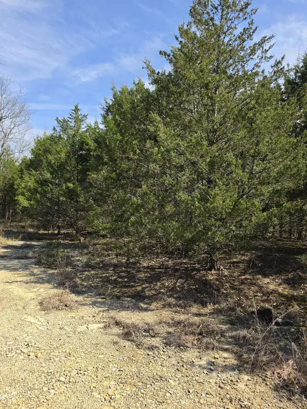 000 Beeler RD, Branson, MO 65616