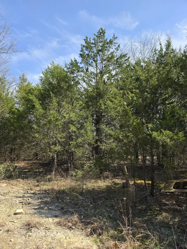 000 Beeler RD, Branson, MO 65616