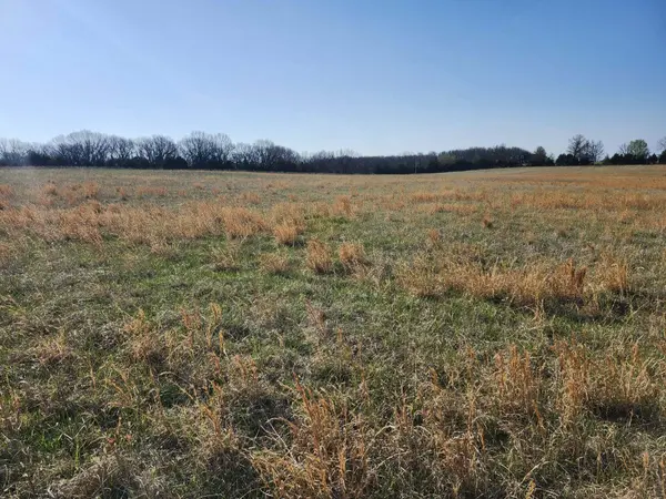 000 Highway H, Grovespring, MO 65662
