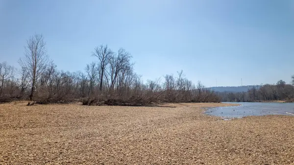 Lot 62 Ash ST, Van Buren, MO 63965