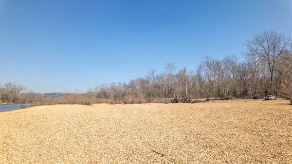 Lot 90 Ash ST, Van Buren, MO 63965
