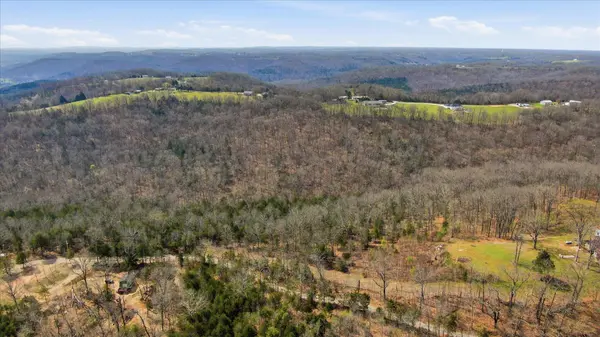 000 Bray Mines RD, Oldfield, MO 65720