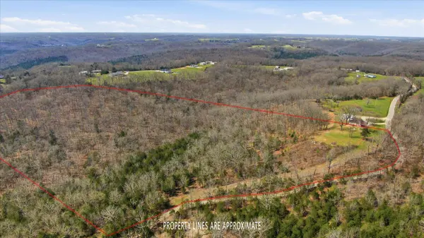 000 Bray Mines RD, Oldfield, MO 65720