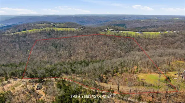 000 Bray Mines RD, Oldfield, MO 65720