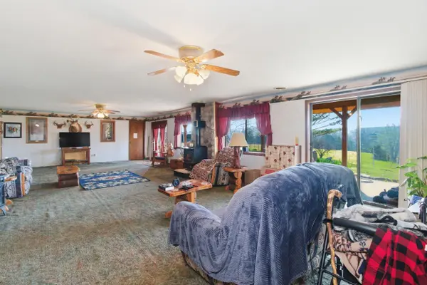 557 Hagewood LN, Theodosia, MO 65761
