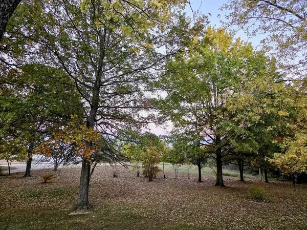 2066 State Highway Jj, Stoutland, MO 65567