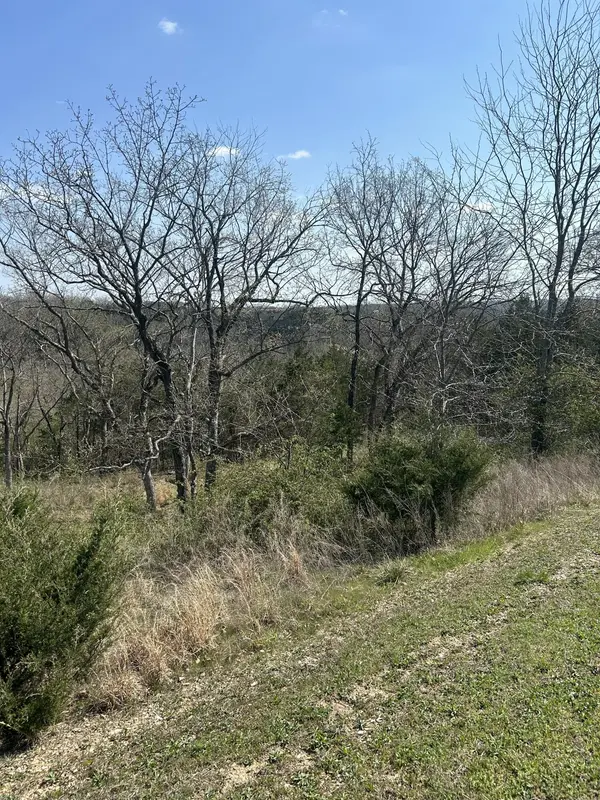 000 Pebble Beach Lot 5 DR, Branson, MO 65616